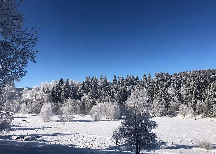Wellness קבילדה